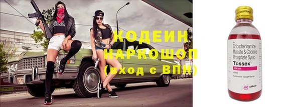 дурь Алексин
