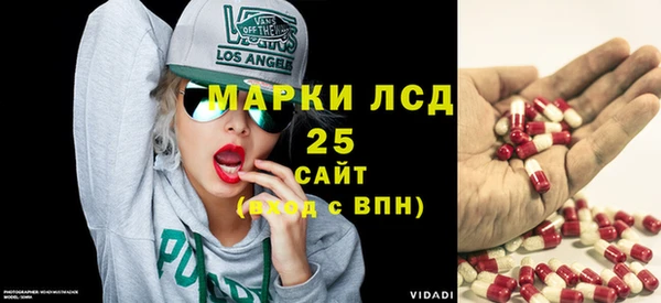 apvp Алзамай