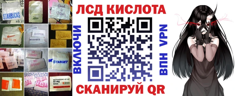 магазин продажи   Кинель  блэк спрут как зайти  Лсд 25 экстази кислота 