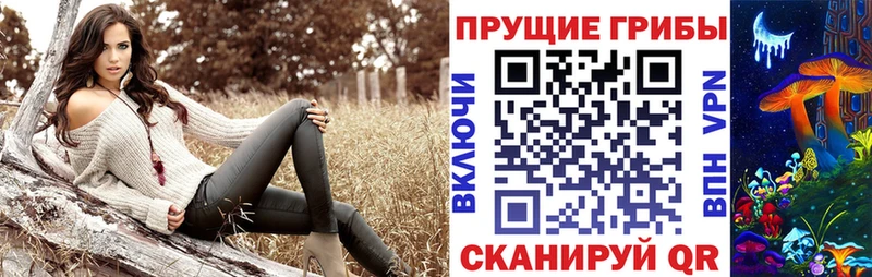 кракен онион  Кинель  площадка формула  Псилоцибиновые грибы прущие грибы 